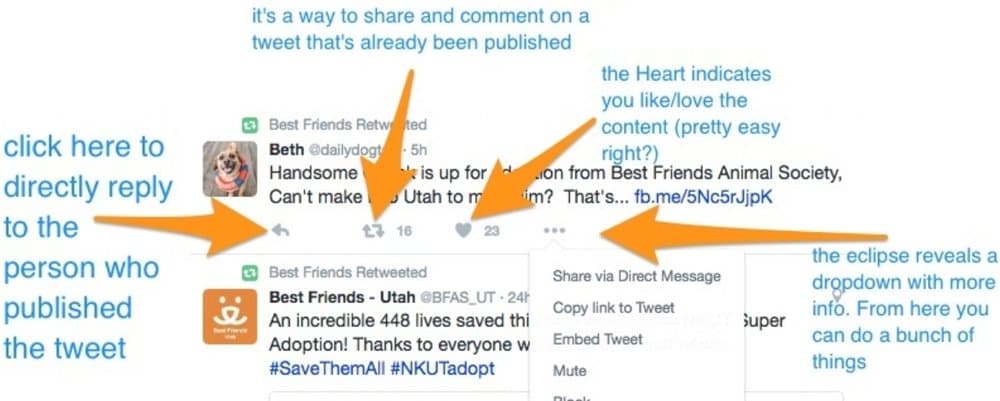 twitter_engage.jpeg