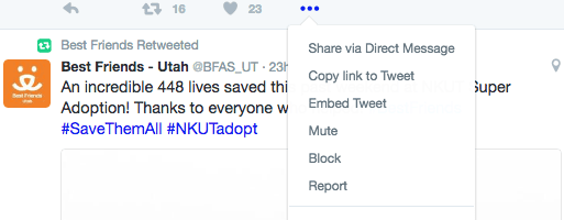 twitter_options.png